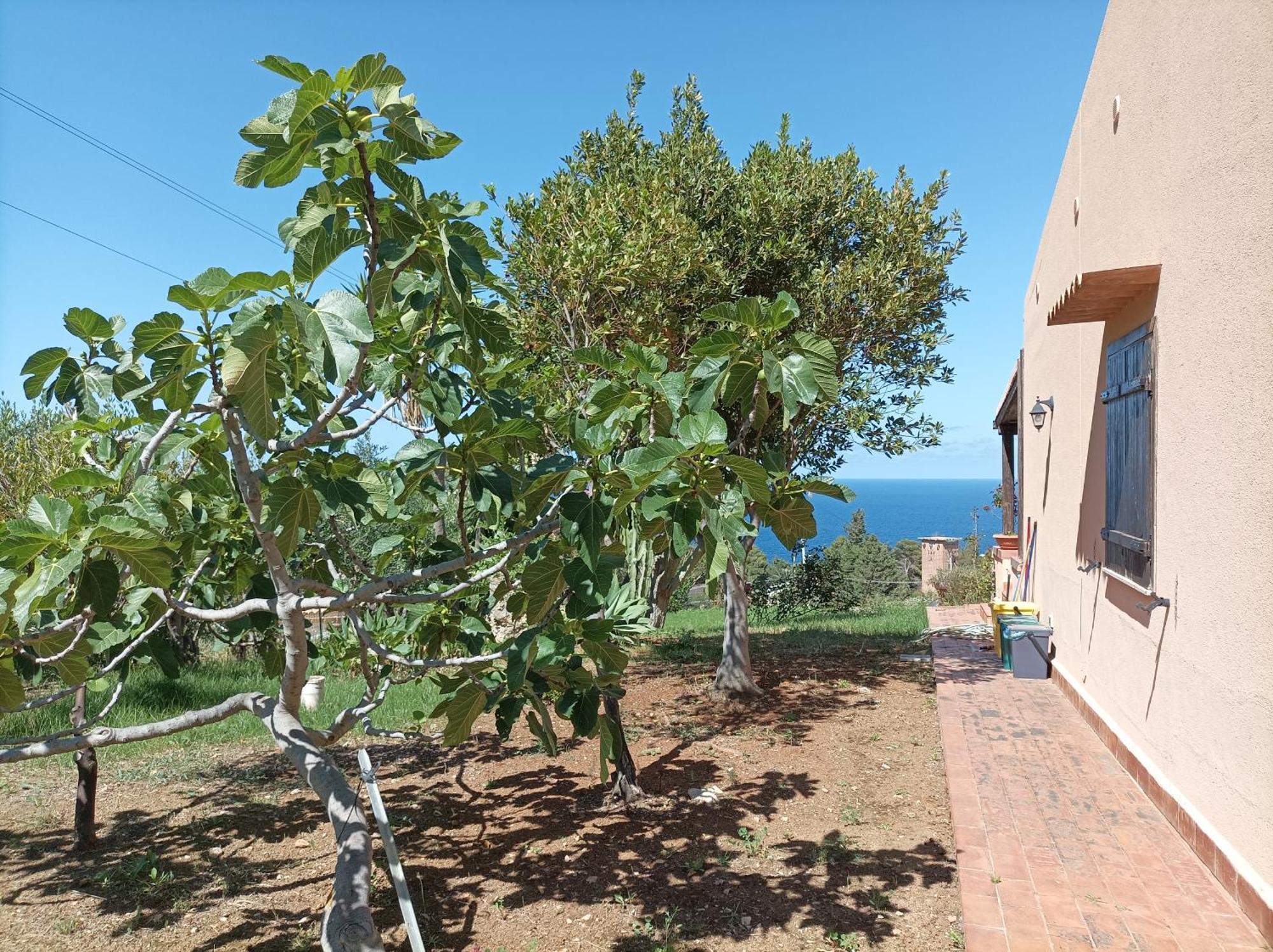 La Terrazza Su Pispisa Villa Castellammare del Golfo Exterior photo